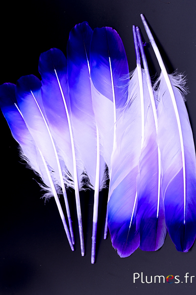 Cygne Soie - 25-30 cm - lilas-bleu-violet